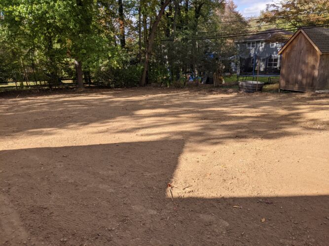 Bamboo Removal Company