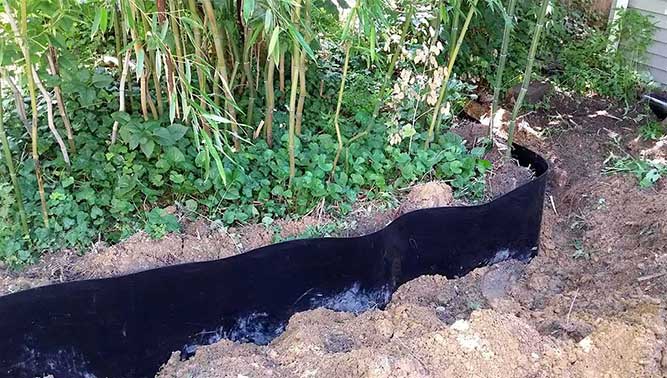 bamboo containment rhizome barrier