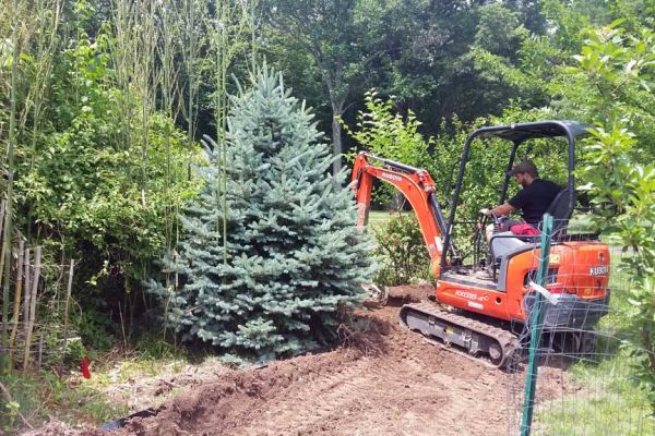 Bamboo Containment Doylestown PA