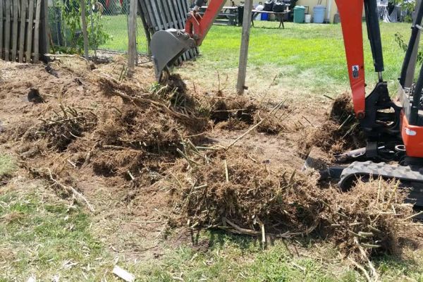 bamboo ordinance removal Brick NJ