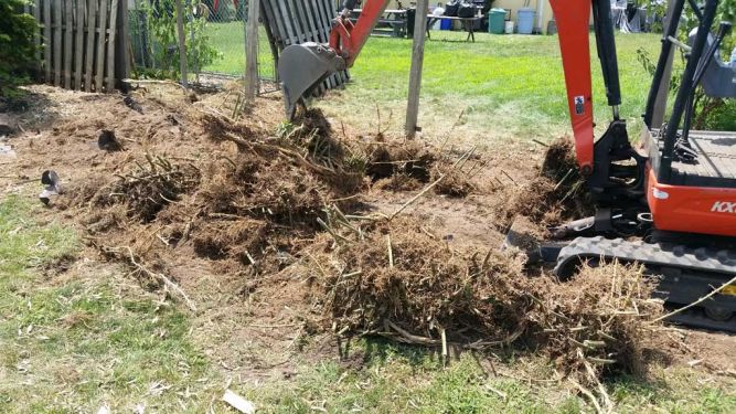 bamboo ordinance removal Brick NJ