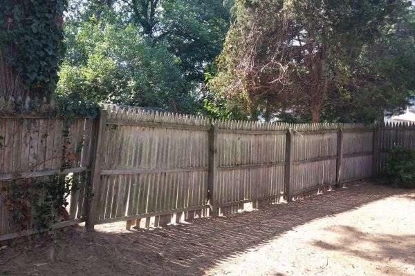 guaranteed bamboo removal