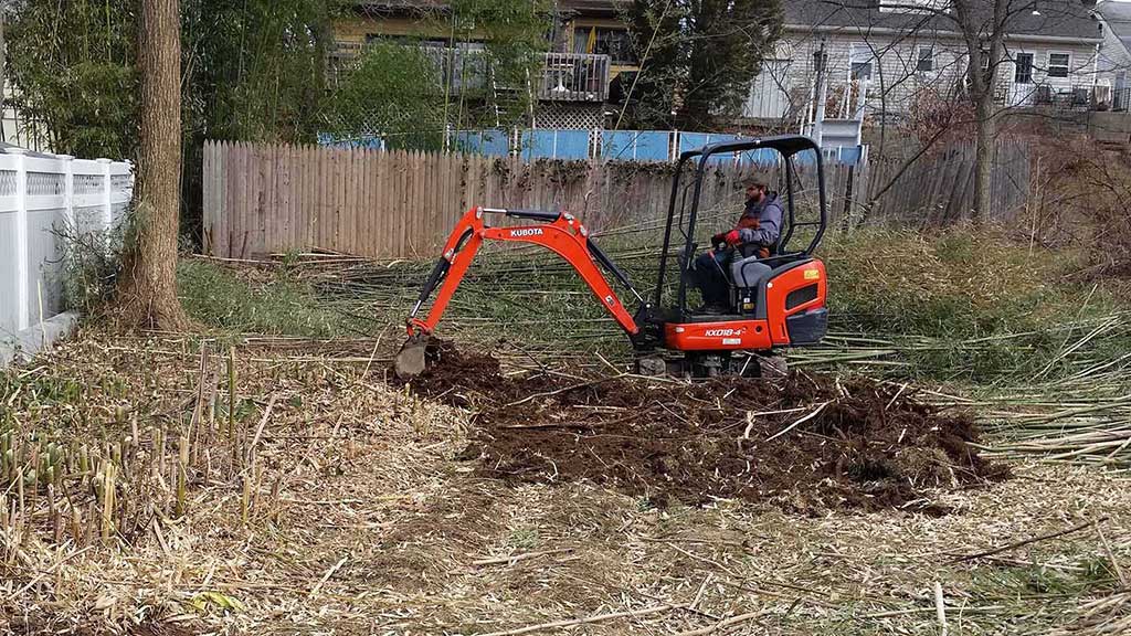 bambooremovalnj NJ Bamboo Landscaping