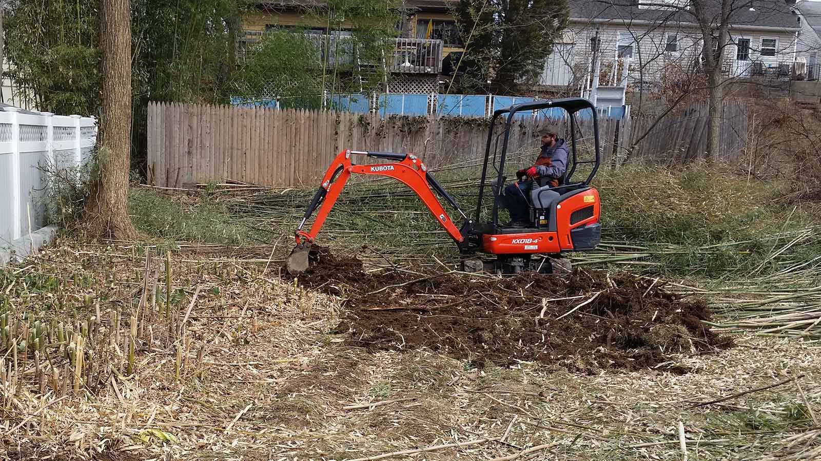 bambooremovalnj NJ Bamboo Landscaping