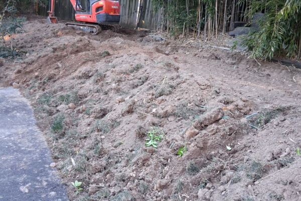 Bamboo Removal Doylestown PA